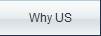 Why US